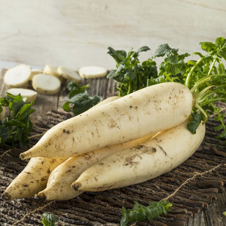 Daikons ‘Japana’ F1 (Raphanus sativus) 0,5g