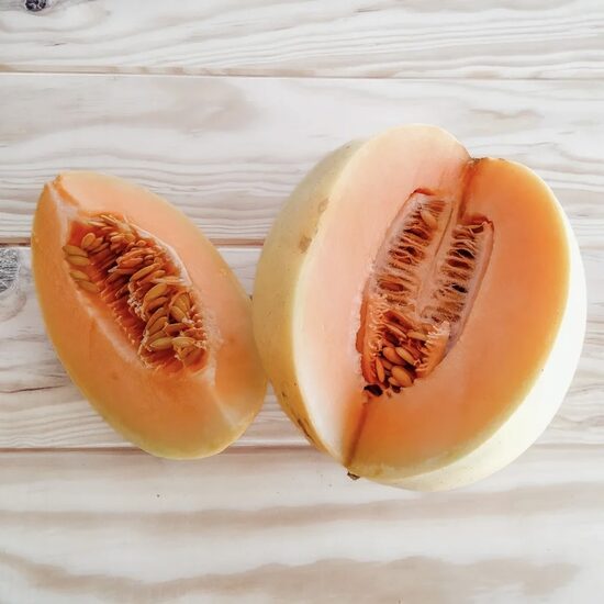 Melon "Rampicante zuccherino" (Cucumis melo), 10 seeds