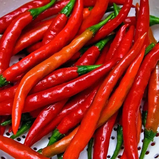 Hot Pepper ‘Cayenne Long Slim’ (Capsicum annuum) 10 seeds