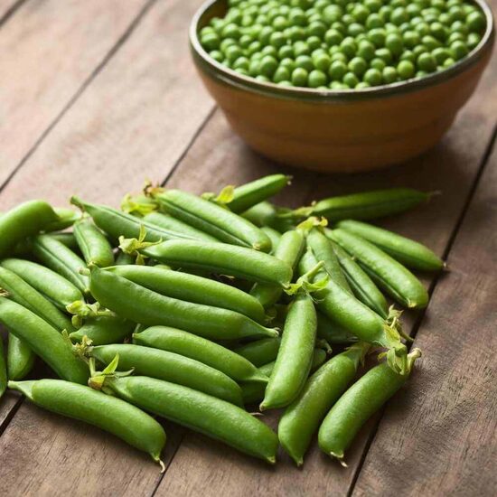 Sweet peas ‘Kelvedon’ (Pisum sativum)