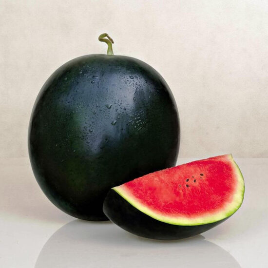 Watermelon 'Rosario' F1 (Citrullus lanatus) 5 seeds