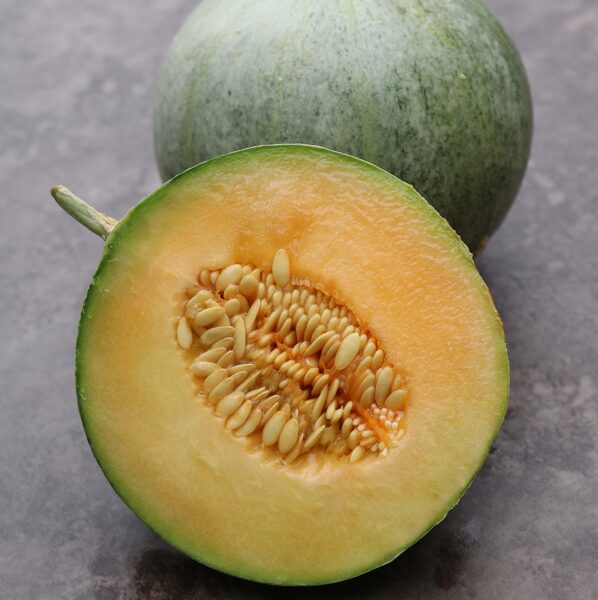 Melone "Charentais" (Cucumis melo), 10 sēklas