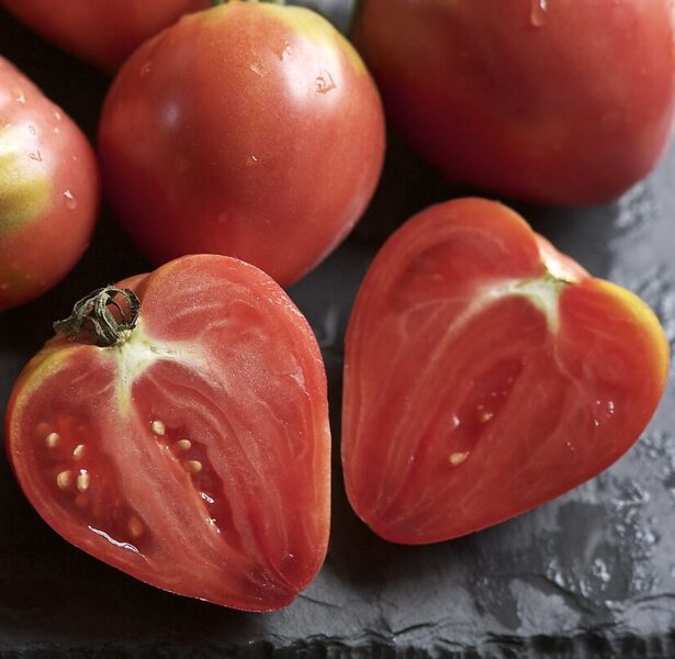 Tomāts "Vērša sirds" (Solanum lycopersicum), 15 sēklas