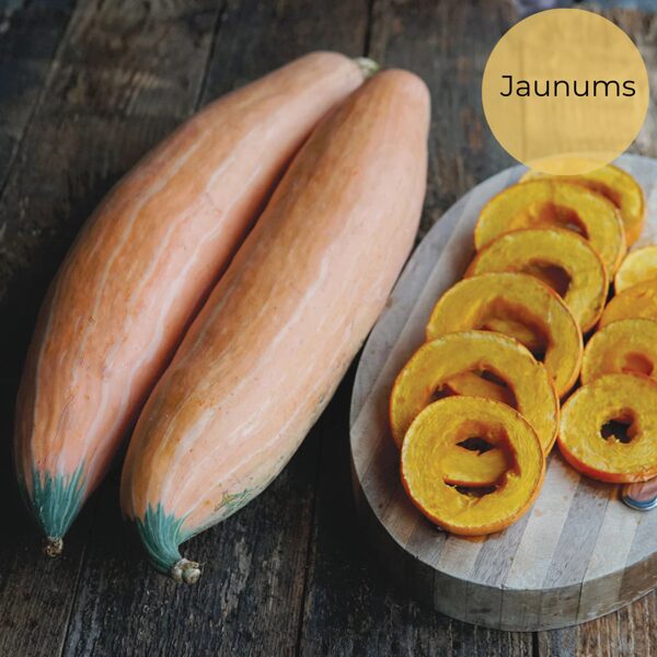 Lielaugļu ķirbis "North Georgia Candy Roaster" (Cucurbita maxima), 5 sēklas