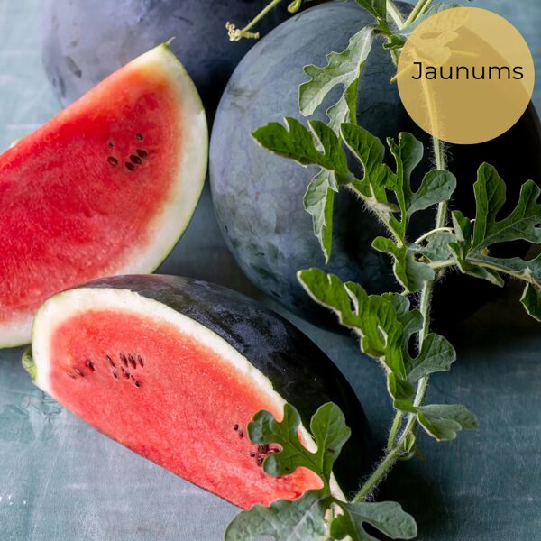 Watermelon "Sugar Baby" (Citrullus lanatus), 5 seeds
