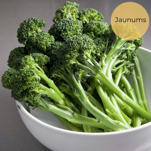 Broccoli "Quarantina" (Brassica rapa sbsp sylvestris), 1g